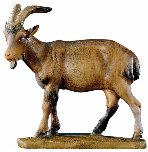 Ziege - Kopf nach links Ziege - Kopf nach links