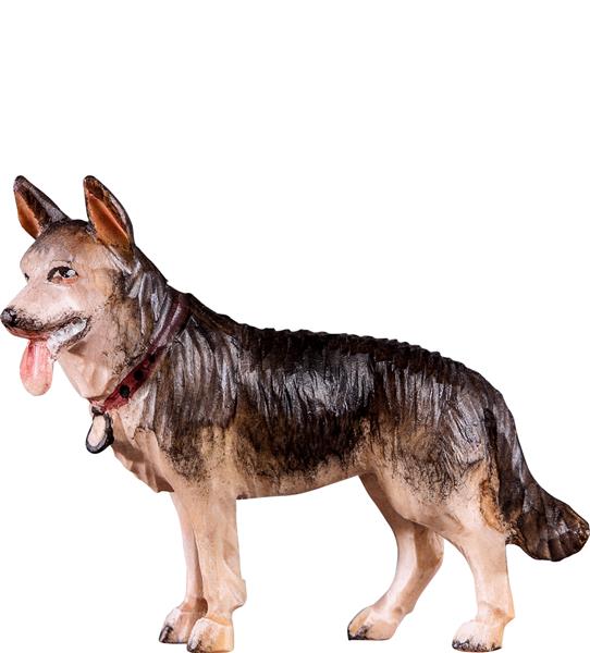 Schäferhund