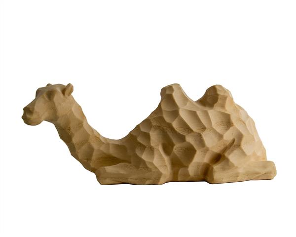 Kamel