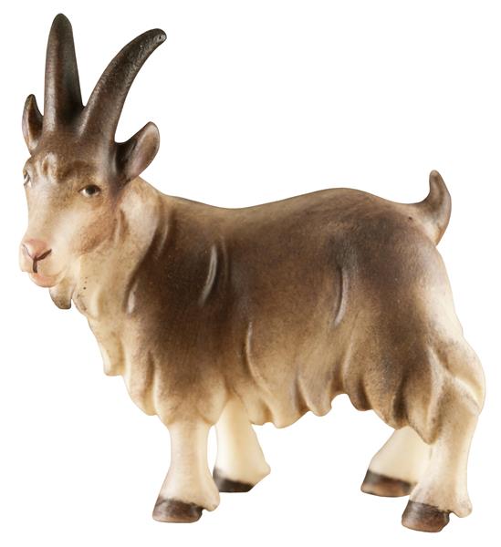 Ziege stehend