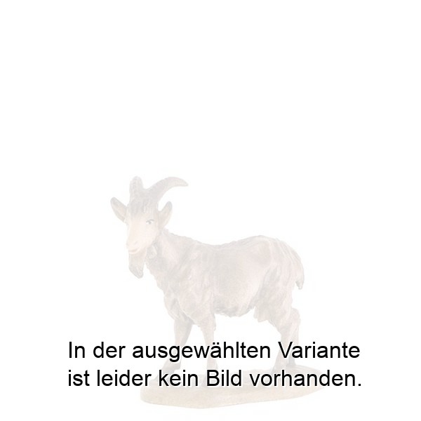 Ziege Ziege