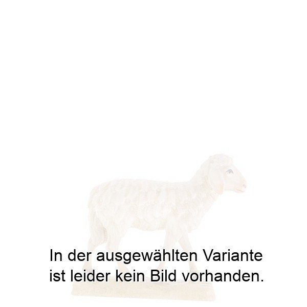 Schaf stehend