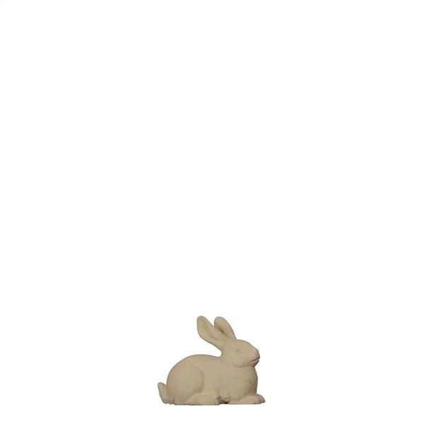 Hase mit gestreckten Ohren