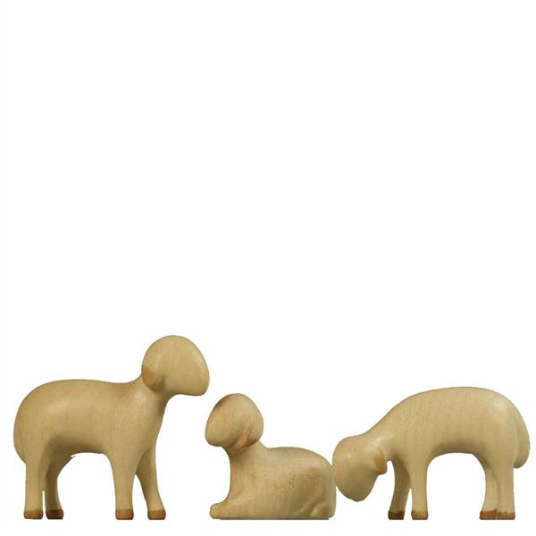 3 Schafe 3 Schafe