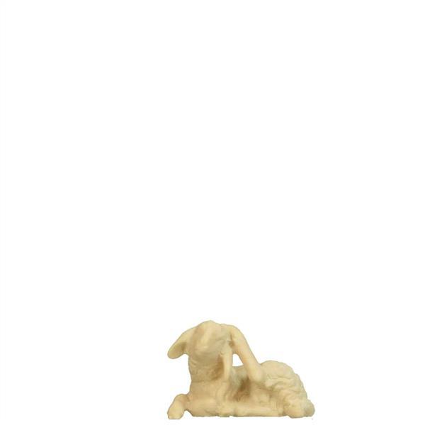 Lamm kratzend Lamm kratzend