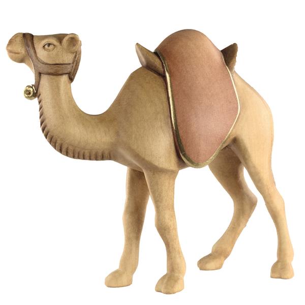 Kamel stehend Kamel stehend