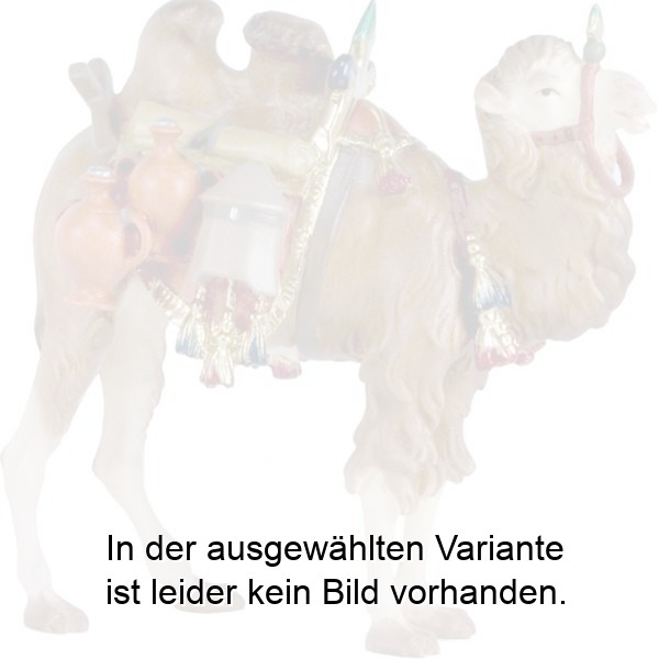 Kamel mit Gepäck Kamel mit Gepäck