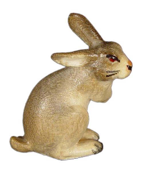 Hase Pfoten hoch
