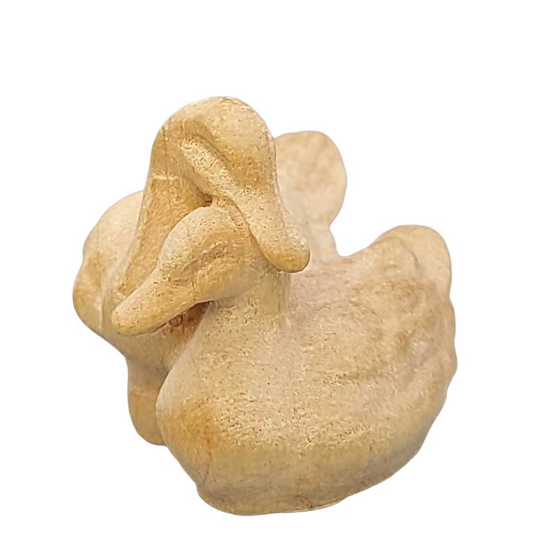Entengruppe weiß