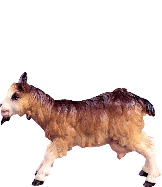 Ziege