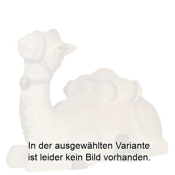 Kamel Leo-Krippe - Esche