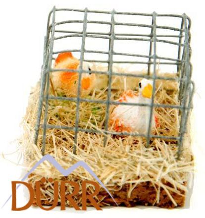 Käfig mit Gänsen