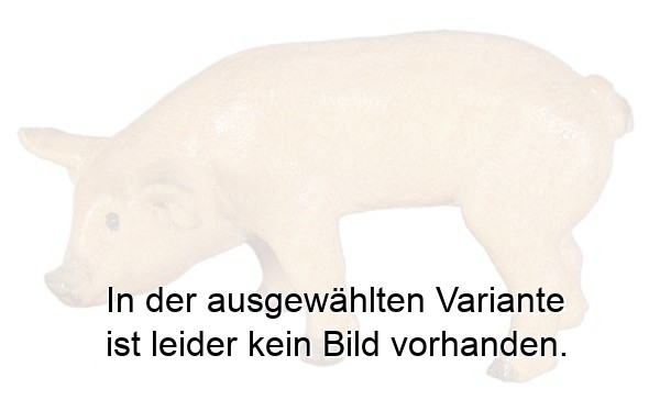 Ferkel fressend Ferkel fressend