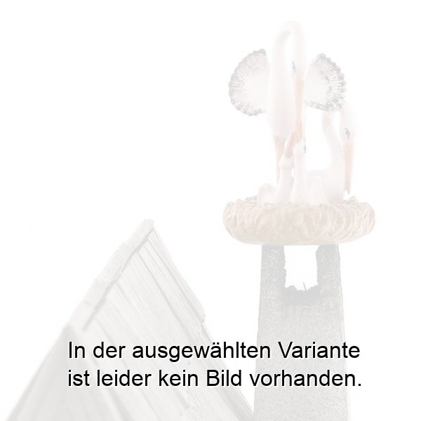 Storchnest mit Familie