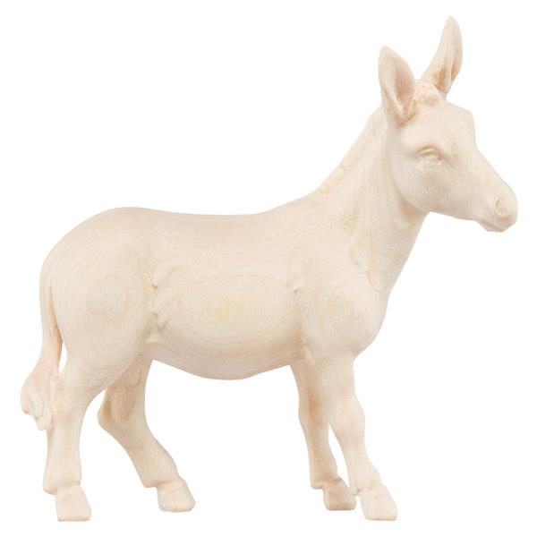 Esel stehend Esel stehend