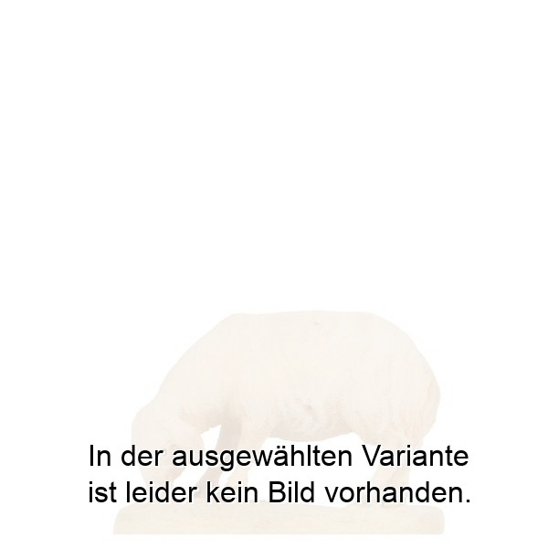 Schaf äsend
