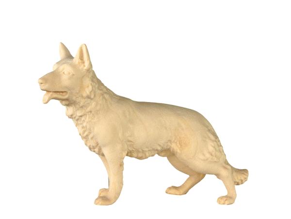 Hund stehend