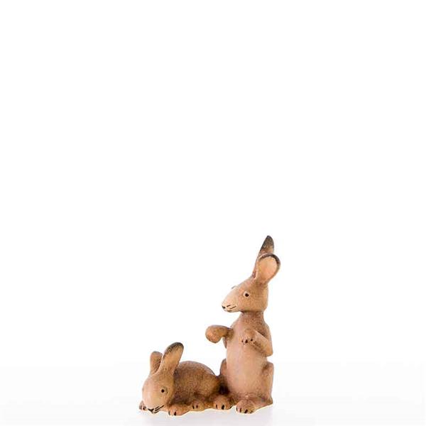 Hasengruppe Hasengruppe