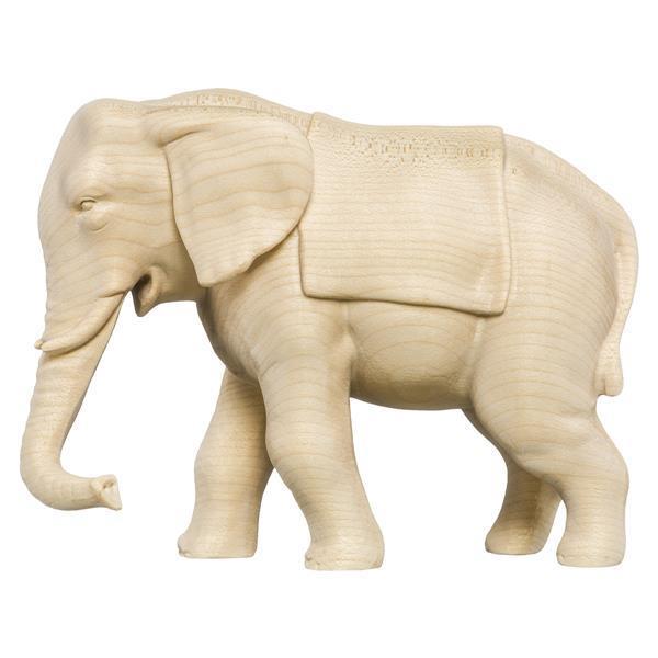 Elefant