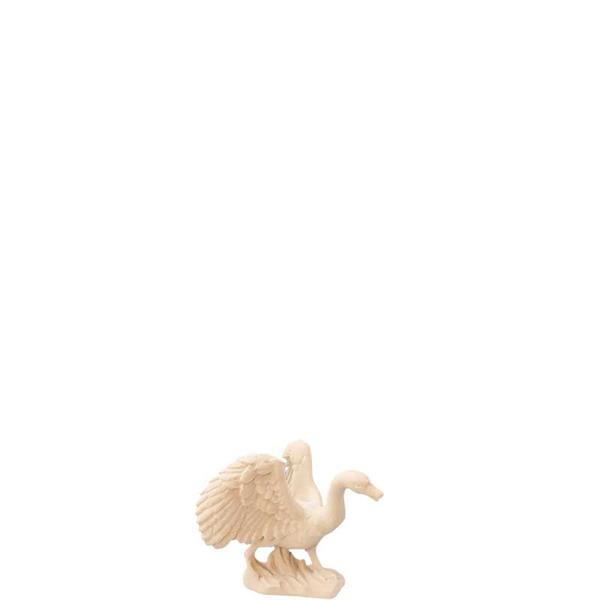 Schwan laufend