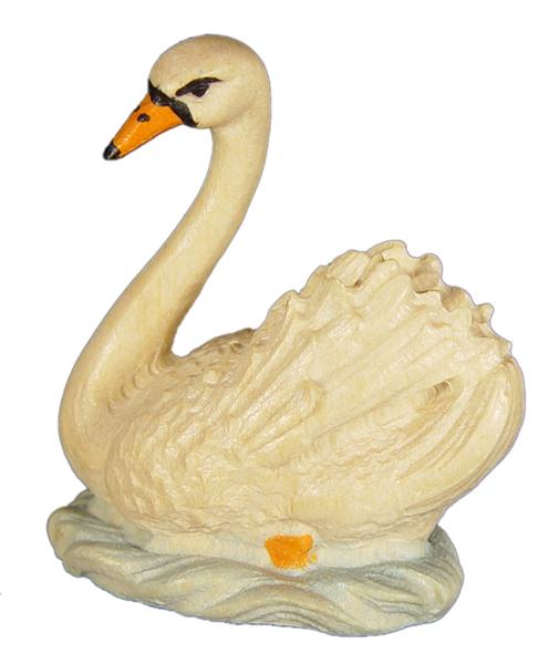 Schwan schwimmend