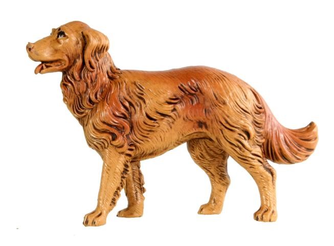 Hund