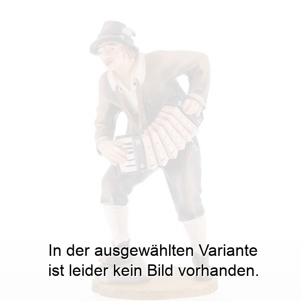 Musikant mit Ziehharmonika Musikant mit Ziehharmonika