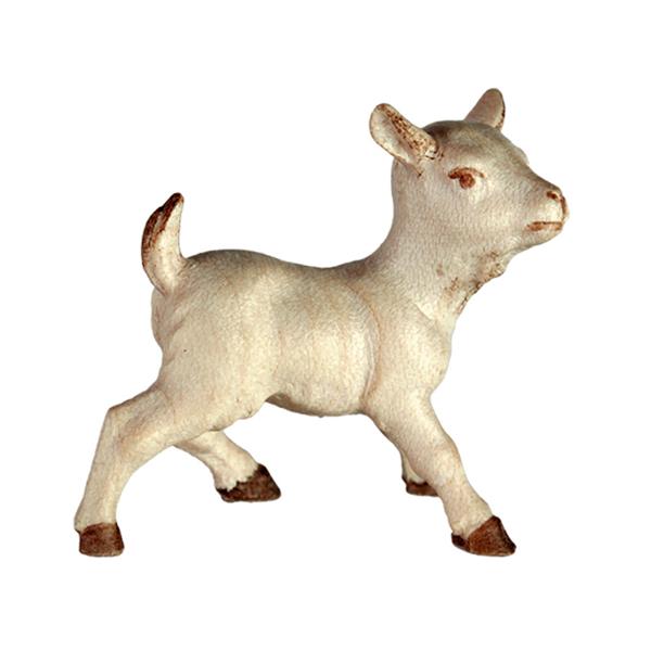 Ziegenkitz