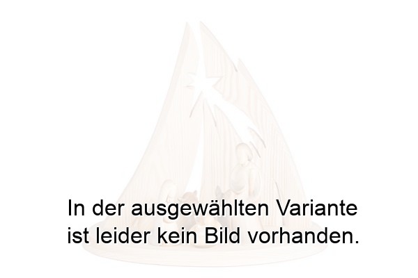 Modern Art Krippe mit Stall 6-teilig Modern Art Krippe mit Stall 6-teilig