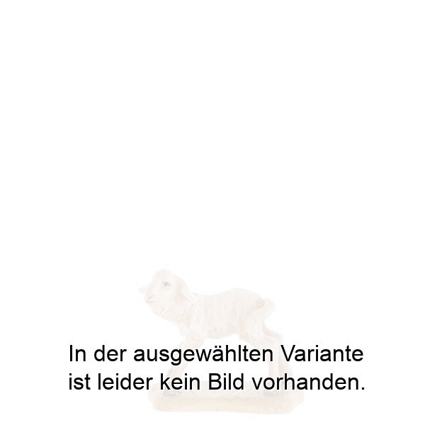 Lamm stehend Lamm stehend