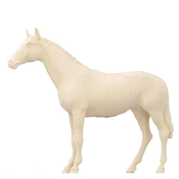 Pferd Pferd
