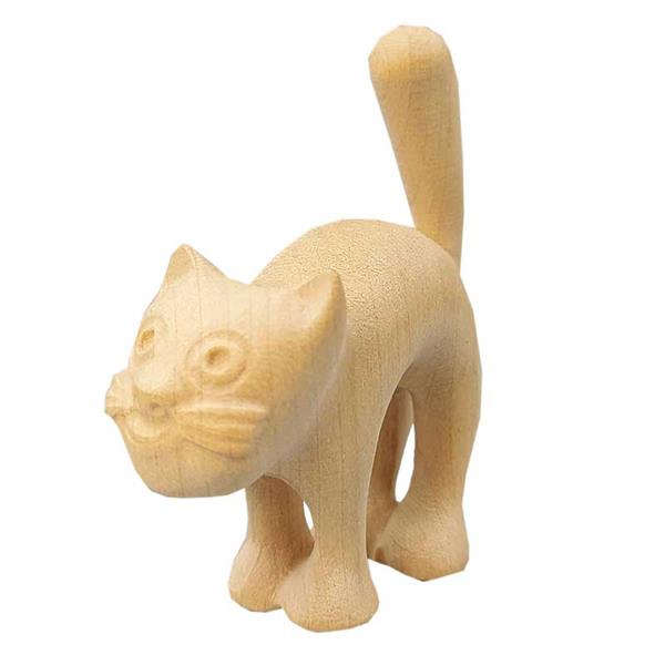 Katze