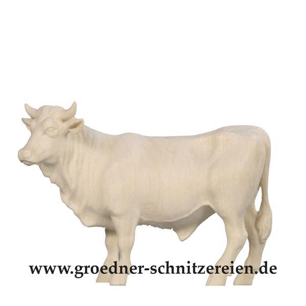 Ochs stehend Ochs stehend