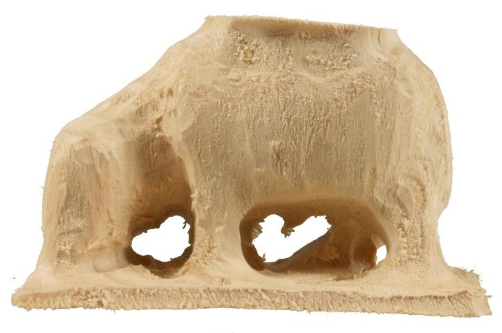 Schaf äsend Schaf äsend