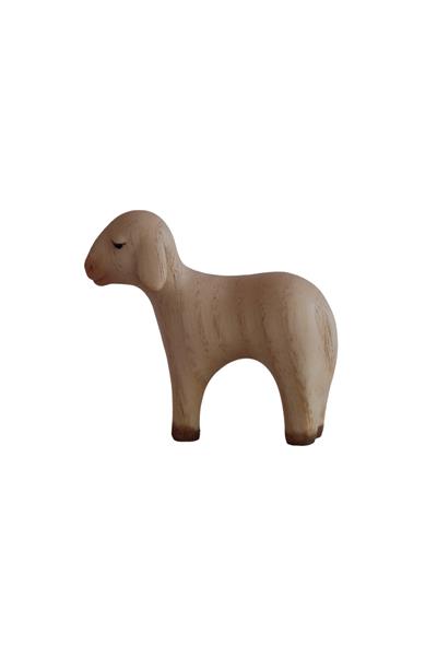 Schaf stehend Schaf stehend