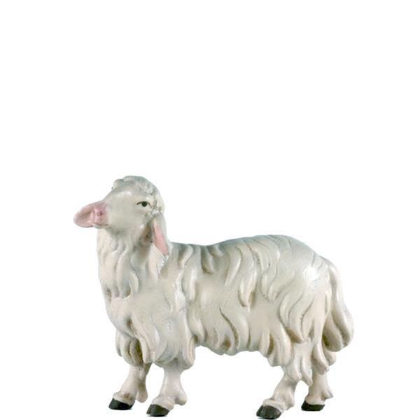 Schaf stehend links Schaf stehend links