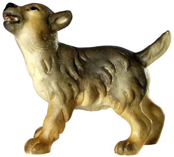 Wolfswelpe - Kopf nach links Wolfswelpe - Kopf nach links