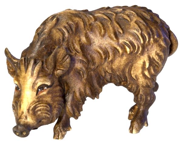 Wildschwein Bache Wildschwein Bache