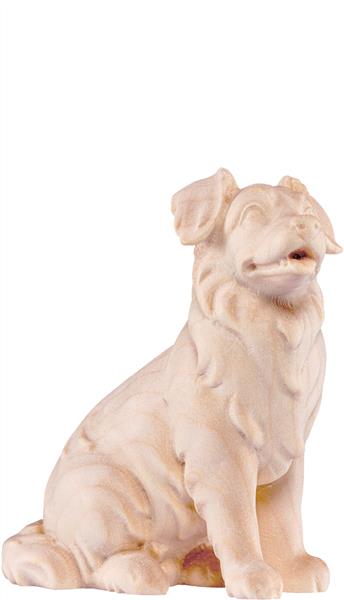 Schäferhund Artis