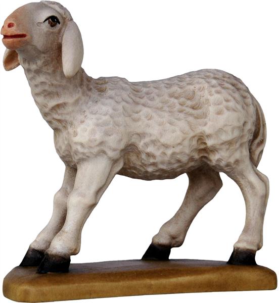 Schaf stehend Schaf stehend