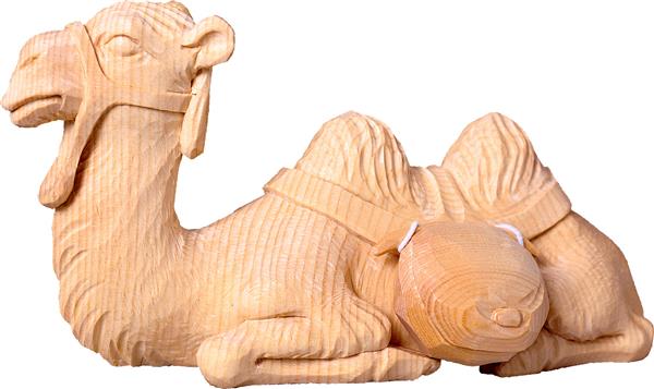 Kamel liegend Kamel liegend