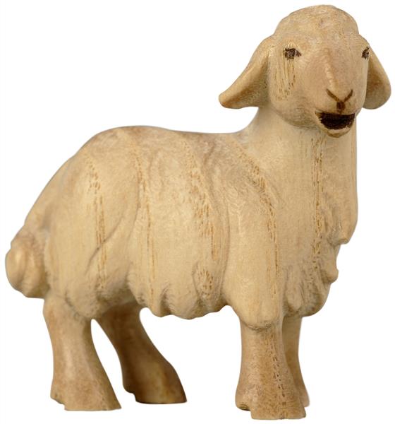 Lamm stehend Lamm stehend