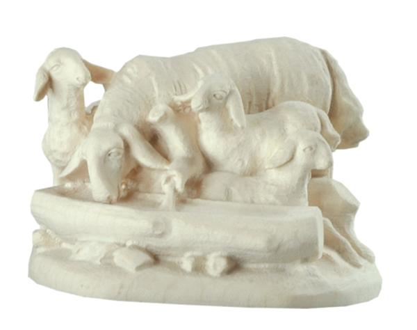 Schafgruppe mit Tränke Schafgruppe mit Tränke