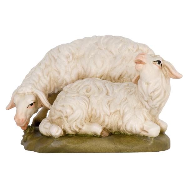Schafgruppe Schafgruppe