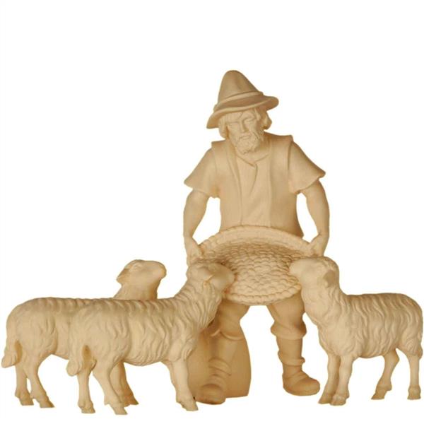 Schaffütterer mit drei Schafen