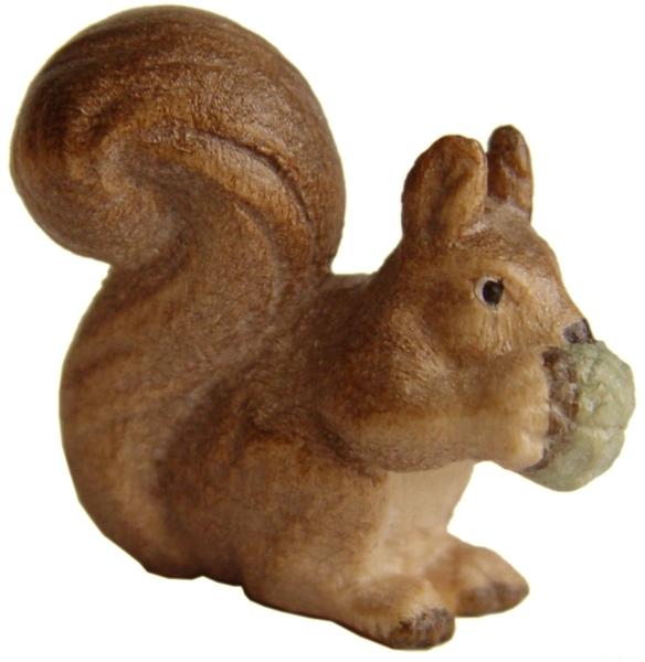 Eichhörnchen Eichhörnchen