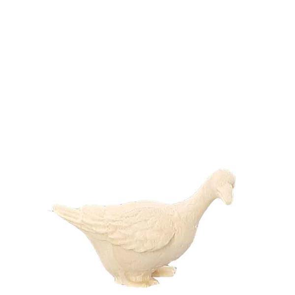 Gans nach links schauend
