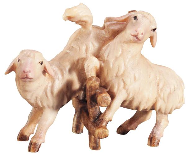 Lämmer auf Zaun