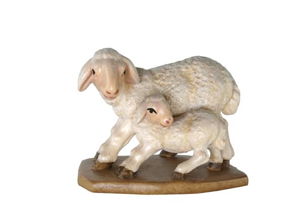 Schafgruppe stehend Schafgruppe stehend