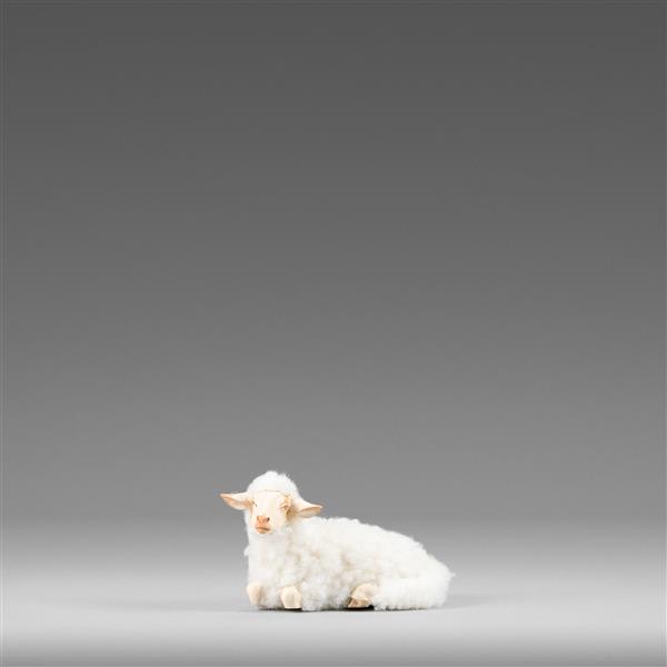 Schaf liegend mit Wolle weiß Schaf liegend mit Wolle weiß